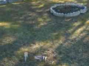 Mulching by Edward Wilder for Stacey C. in Bowie, MD