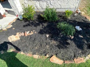 Weeding by Adan Rojas for Boy M. in Georgetown, TX