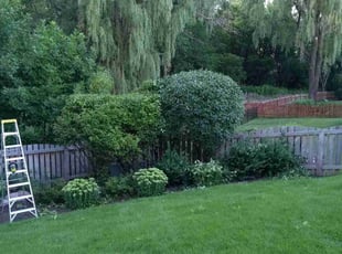 Bush Trimming by Virgil Smith for Chris G. in Lake Zurich, IL