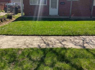 Jose R.'s Lawn Maintenance service result