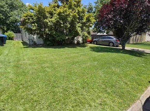 Diane J.'s Lawn Maintenance service result