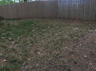 Leaf Removal by Sedrick Wesley for Carmen C. in Kansas City, MO