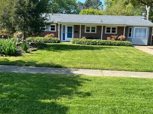 Savina P.'s Lawn Maintenance service result