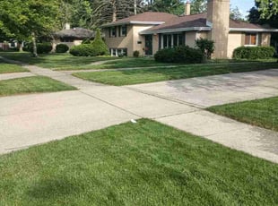 Matt m.'s Lawn Service service result