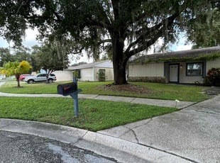 Michele D.'s Lawn Care service result
