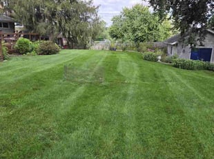 Anthony T.'s Lawn Care service result