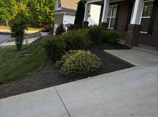 Weeding by Naji Robinson for William B. in Greenville County, SC