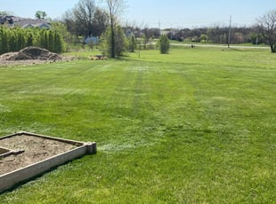 Amy C.'s Lawn Mowing Service service result
