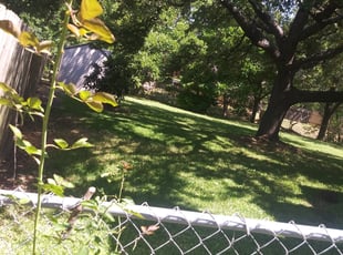 Cleanups by Lucio Gonzales for Leo S. in Austin, TX