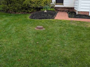 Rob W.'s Lawn Care service result