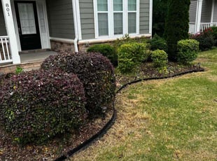 Bush Trimming by Dominque Medlin for Ravi P. in Apex, NC