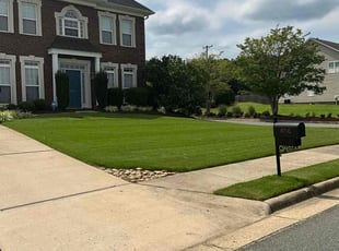 Kia W.'s Yard Cutting service result