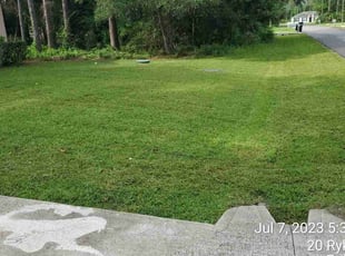 Bush Trimming by Alberto Torres for Judi H. in Palm Coast, FL
