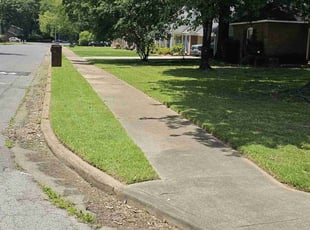 Angelo C.'s Lawn Service service result