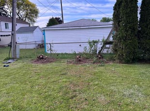 Bush Trimming by Ariel Maledon for Amy R. in Sterling Heights, MI