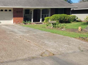 Elizabeth F.'s Bush Trimming service result
