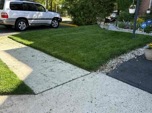 Keith G.'s Grass Cutting service result