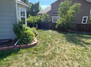 Bush Trimming by Brennen Spratte for Katie O. in Colorado Springs, CO