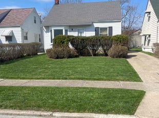 Bonita J.'s Lawn Maintenance service result