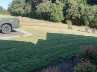 Amy R.'s Lawn Service service result