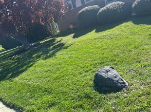 Donna M.'s Lawn Care service result