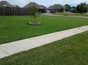 Denise S.'s Lawn Mowing service result