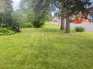 Jessica Y.'s Lawn Care service result