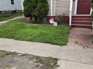 Damon T.'s Lawn Mowing service result