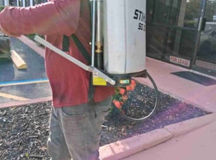 Erica F.'s Flower Bed Weeding service result