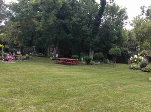 Patrick D.'s Lawn Mowing service result