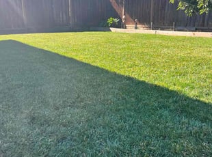 Megan O.'s Lawn Mowing service result