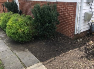 Weeding by Donald Killian for Ralph L. in Laurel, MD