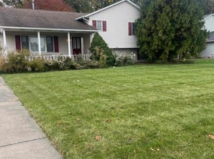 Melissa R.'s Yard Cutting service result
