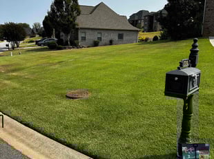 Jane S.'s Lawn Mowing Service service result