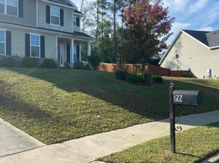 Said F.'s Lawn Service service result