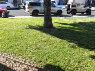 Jean H.'s Lawn Mowing Service service result