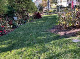 Bruce V.'s Lawn Mowing Service service result