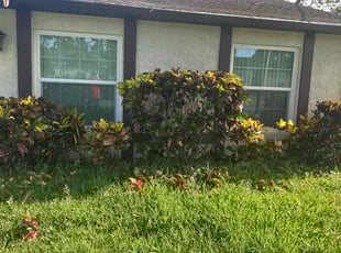 Don B.'s Bush Trimming service result