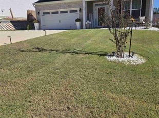 Amber v.'s Grass Cutting service result
