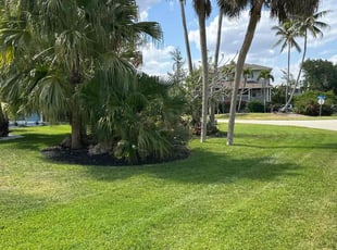 Josh L.'s Lawn Service service result
