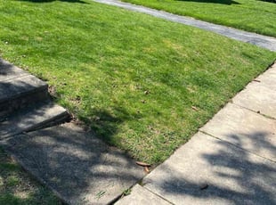 Michelle B.'s Grass Cutting service result