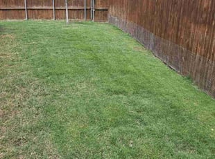 Cleanups by Ernest Howard for Kimberley P. in Frisco, TX