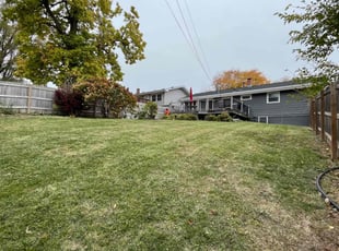 Tre M.'s Grass Cutting service result