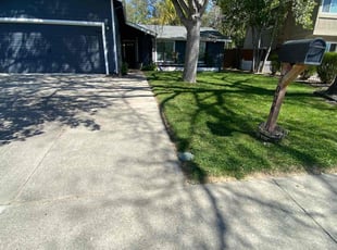 Lesley K.'s Lawn Mowing service result