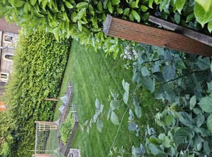 Ron H.'s Lawn Care service result