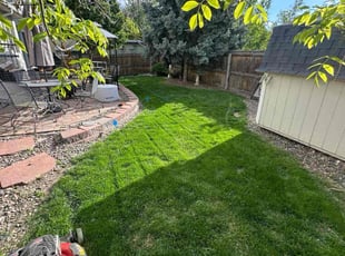 Chad C.'s Lawn Service service result