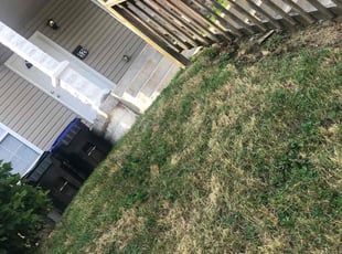 Bush Trimming by Christopher Bronk for Alex G. in Louisville, KY