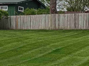Saren E.'s Lawn Care service result