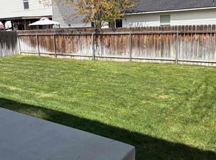 Steve S.'s Lawn Maintenance service result