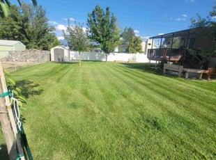 Jeannette L.'s Lawn Care service result